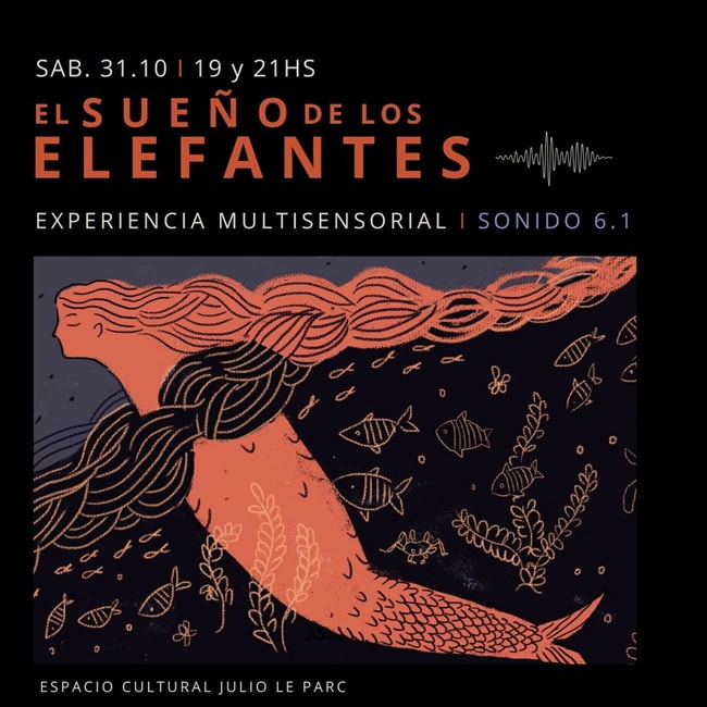 EL SUEÑO DE LOS ELEFANTES CUERPO ADENTRO
